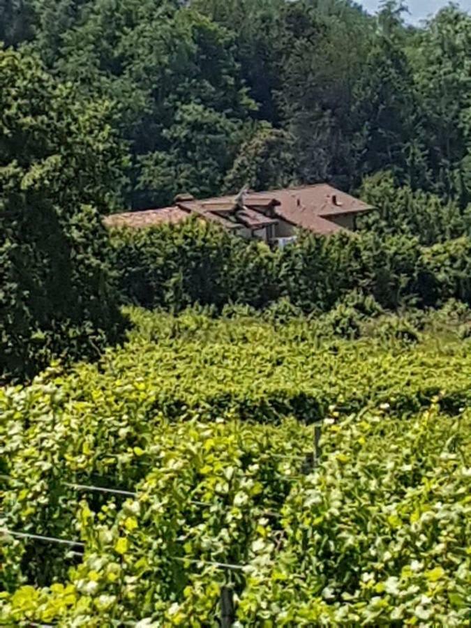La Casa Di Roby-1 Appartamento La Morra Con Piscina Buitenkant foto